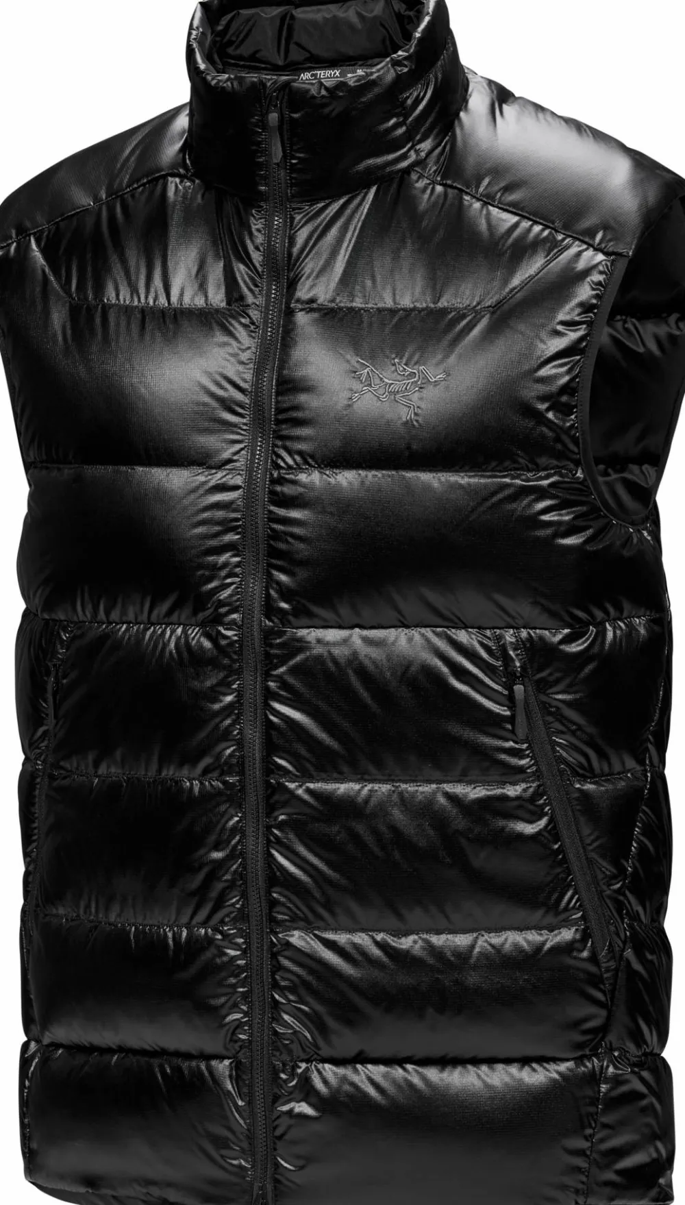 Online Arc'teryx Men's Cerium Sv Vest Black