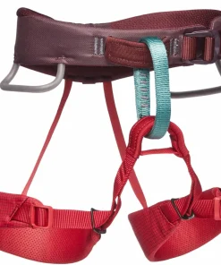 New Black Diamond Kids' Momentum Harness Wild Rose