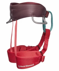 New Black Diamond Kids' Momentum Harness Wild Rose