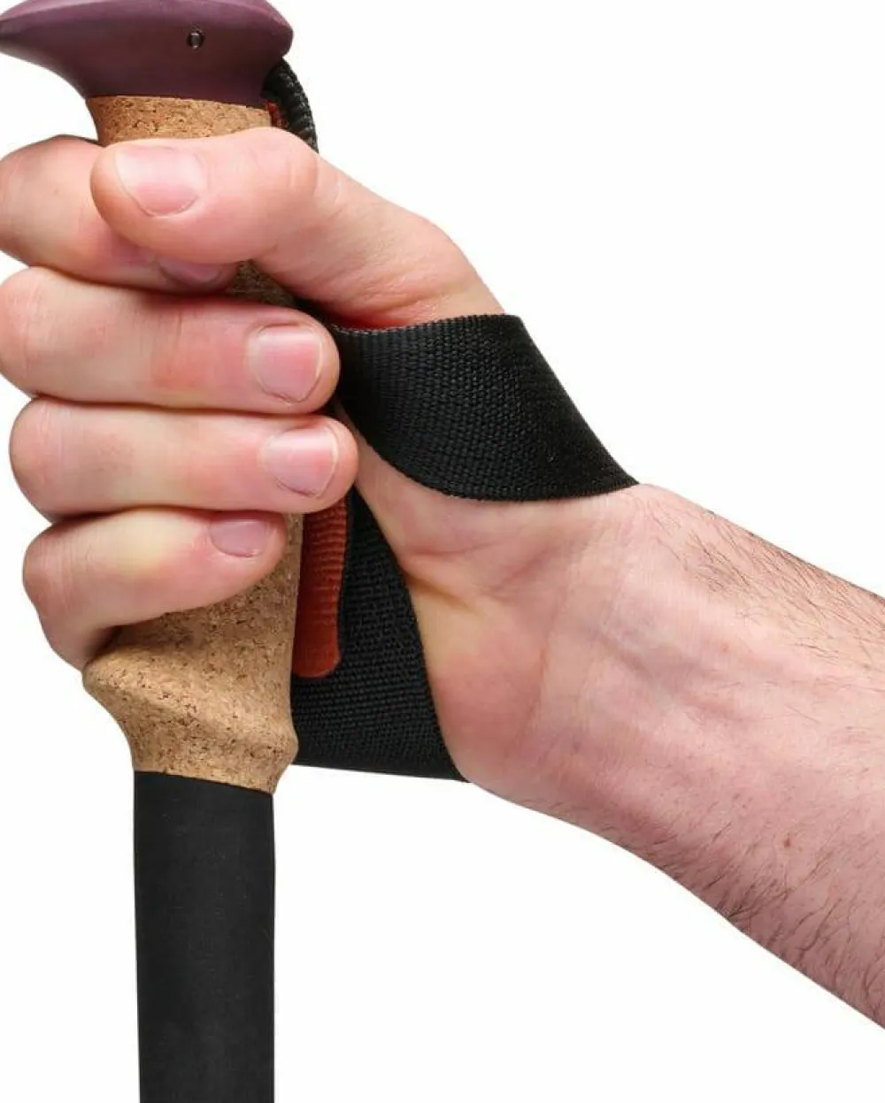 Best Black Diamond Trail Cork Trekking Poles Fig