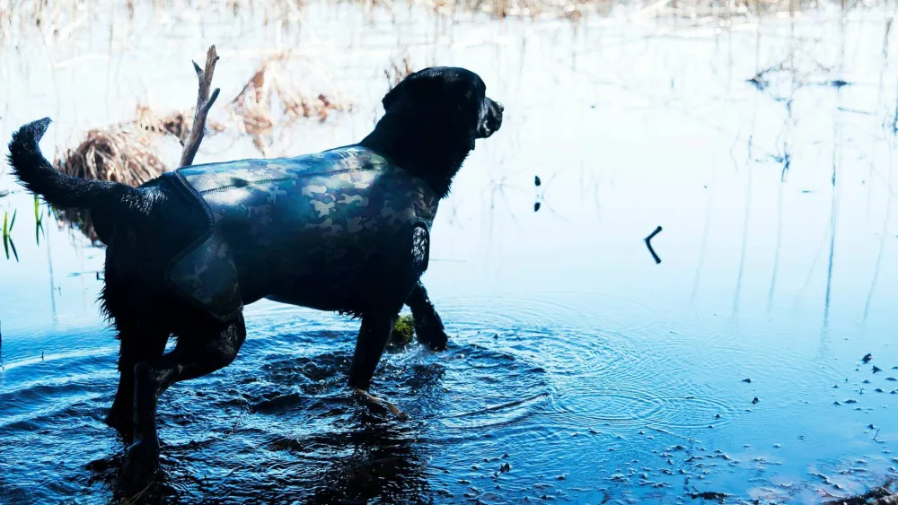 Dogtech Retriever Camo
