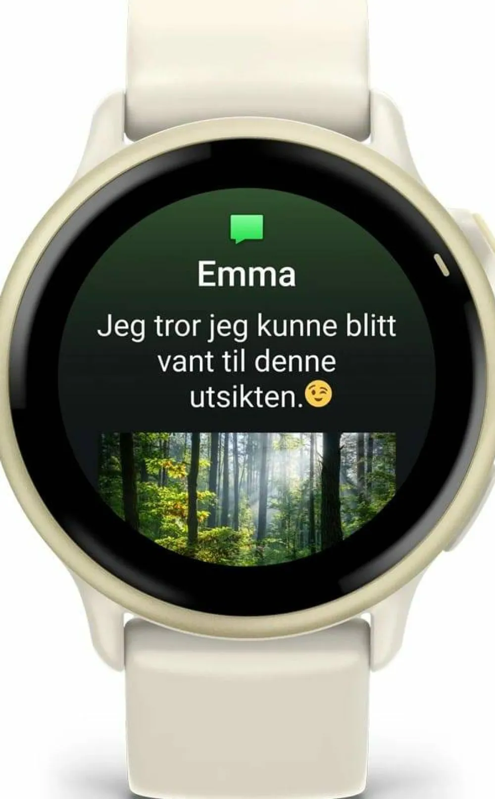 Best Garmin Vivoactive 6 Bone/Lunar Gold