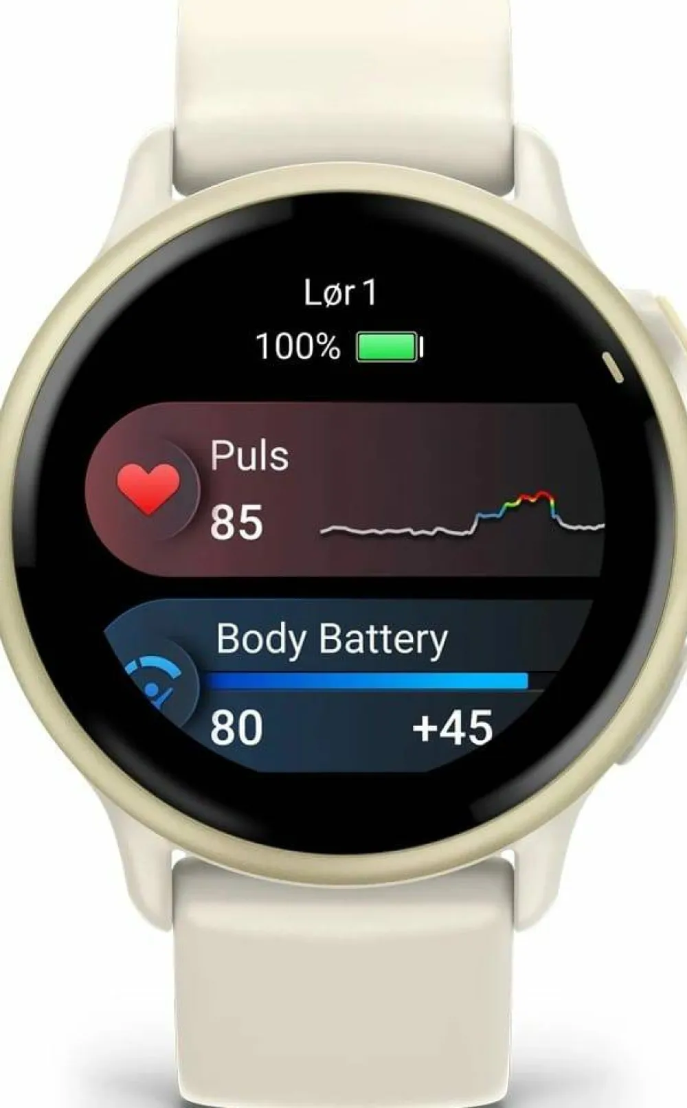 Best Garmin Vivoactive 6 Bone/Lunar Gold