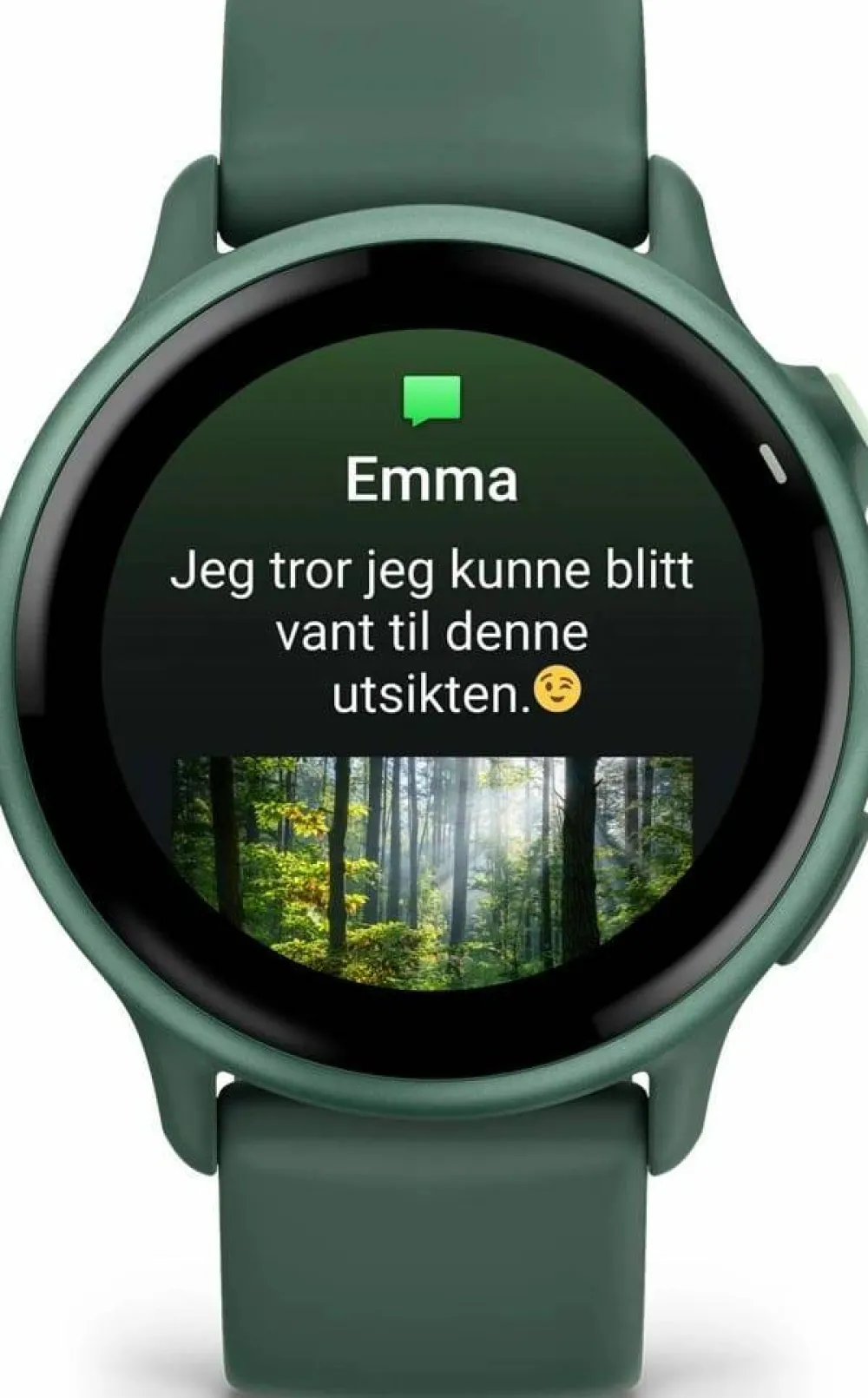 Discount Garmin Vivoactive 6 Jasper Green/J. Green Metallic