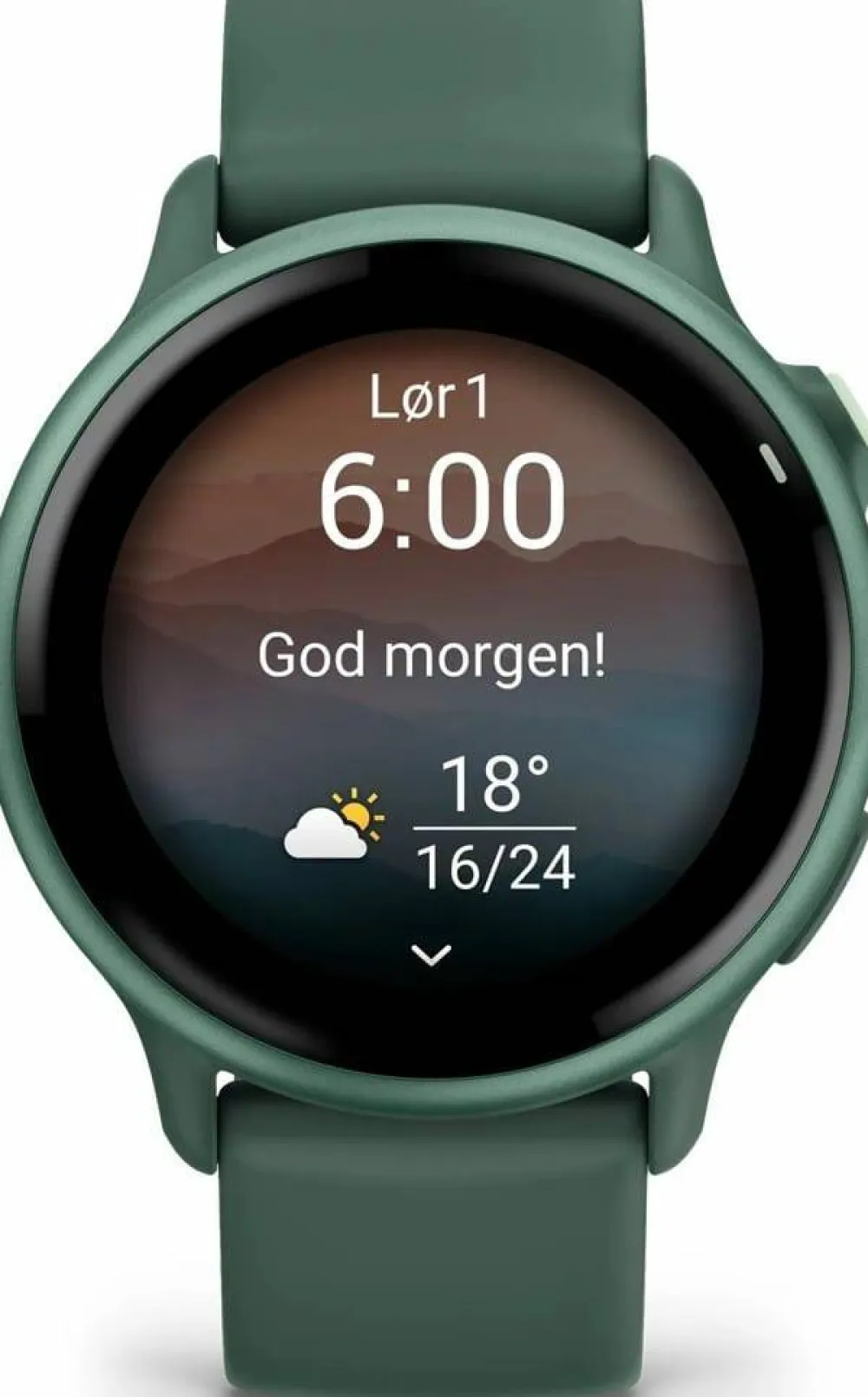 Discount Garmin Vivoactive 6 Jasper Green/J. Green Metallic