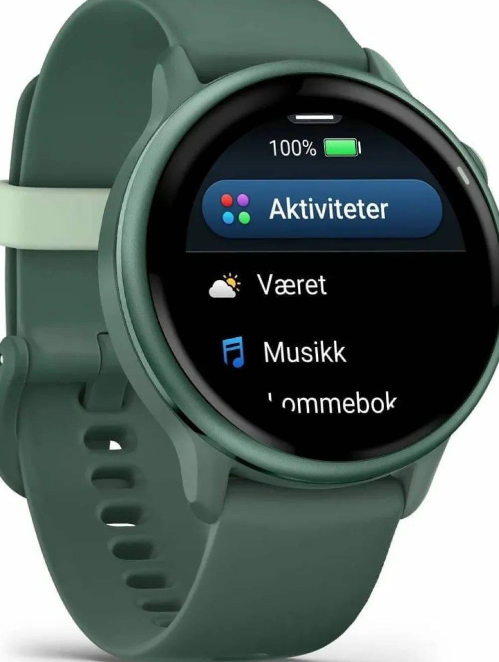 Discount Garmin Vivoactive 6 Jasper Green/J. Green Metallic