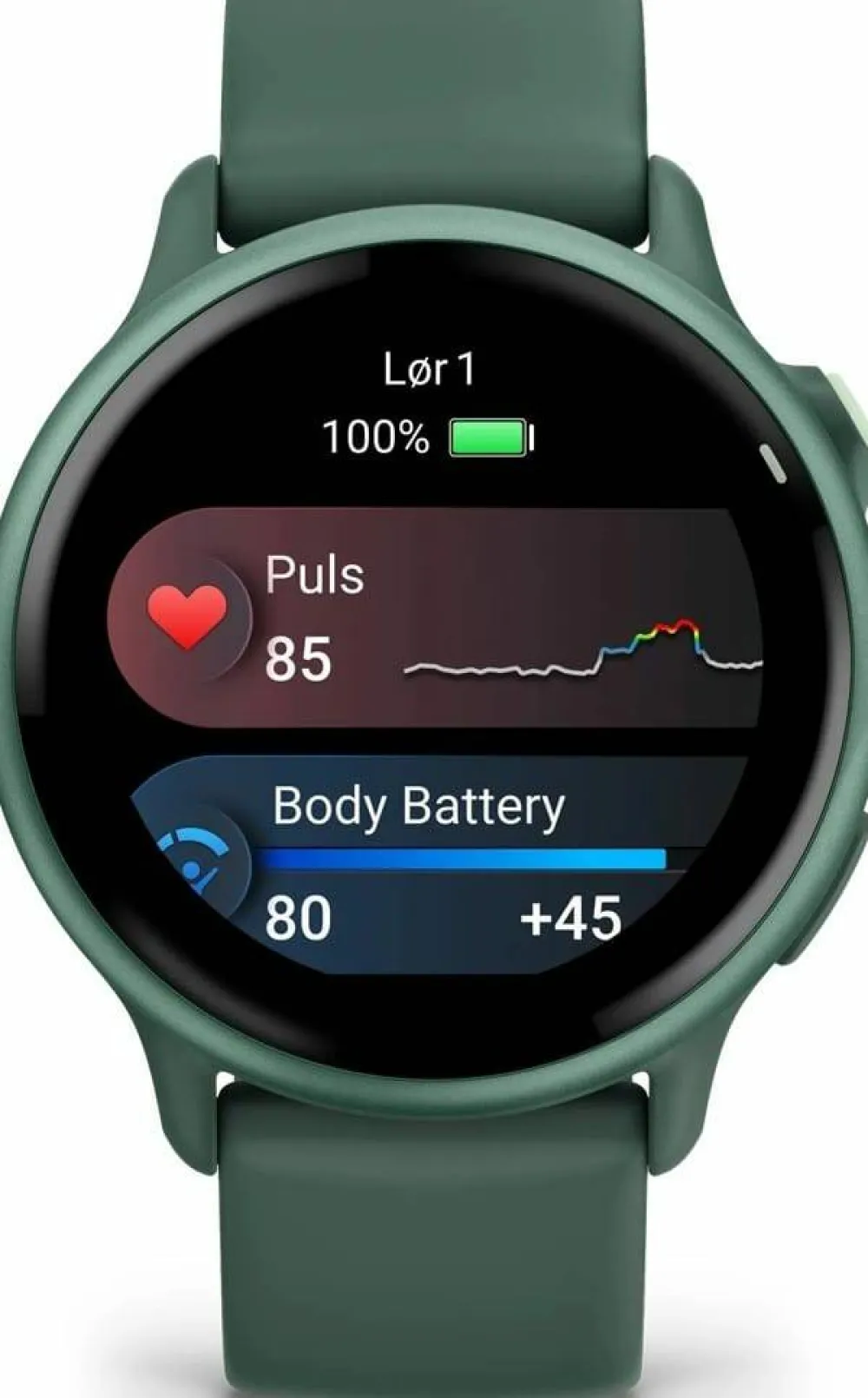 Discount Garmin Vivoactive 6 Jasper Green/J. Green Metallic