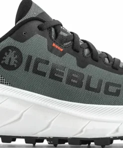 Outlet Icebug Women's Arcus 2 BUGrip GORE-TEX Grey