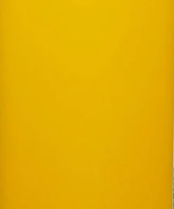 Outlet Klean Kanteen TKWide 473ml (Café Cap) Sunset