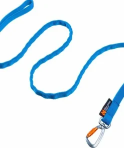 Sale Non-stop Dogwear Bungee Leash 2m Blue