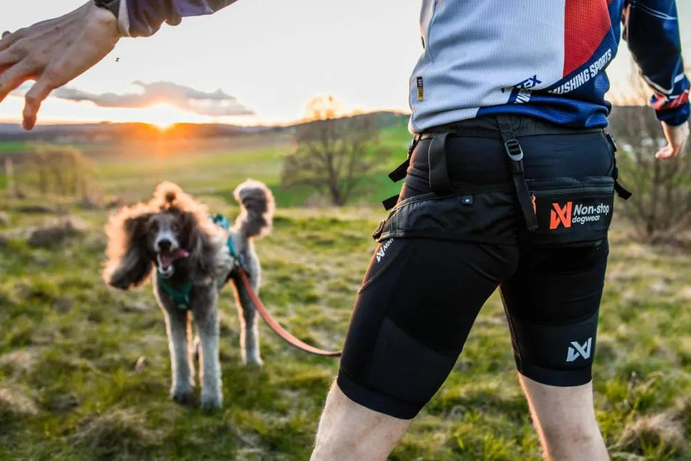 Discount Non-stop Dogwear Canix Belt 2 Black