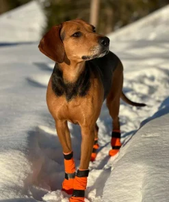 Discount Non-stop Dogwear Contact Bootie High Orange