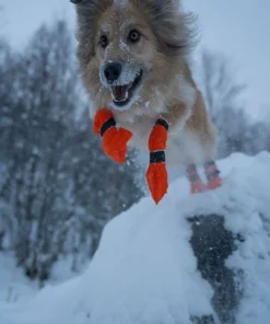 Discount Non-stop Dogwear Contact Bootie High Orange