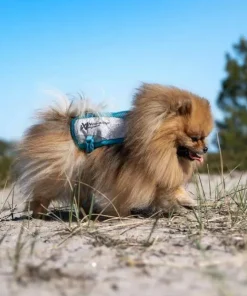 Best Non-stop Dogwear Cooling Vest Light gray/Teal Lightgray/Teal