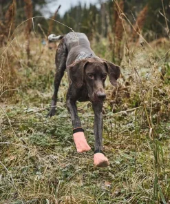 New Non-stop Dogwear Protector Light Socks Orange