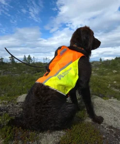 New Non-stop Dogwear Protector Vest GPS 2.0 Orange