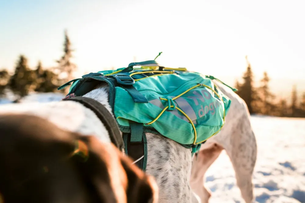 Best Non-stop Dogwear Trail Light Dog Backpack Teal