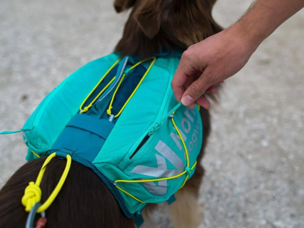 Best Non-stop Dogwear Trail Light Dog Backpack Teal