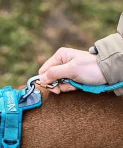 Best Non-stop Dogwear Trekking Rope Leash Orange
