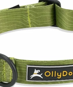 Outlet OllyDog Flagstaff Collar Cactus