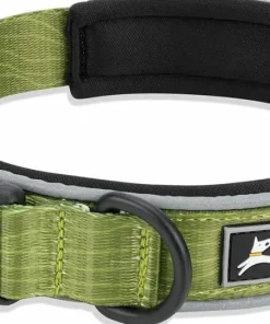 Sale OllyDog Flagstaff Reflective Comfort Collar Cactus