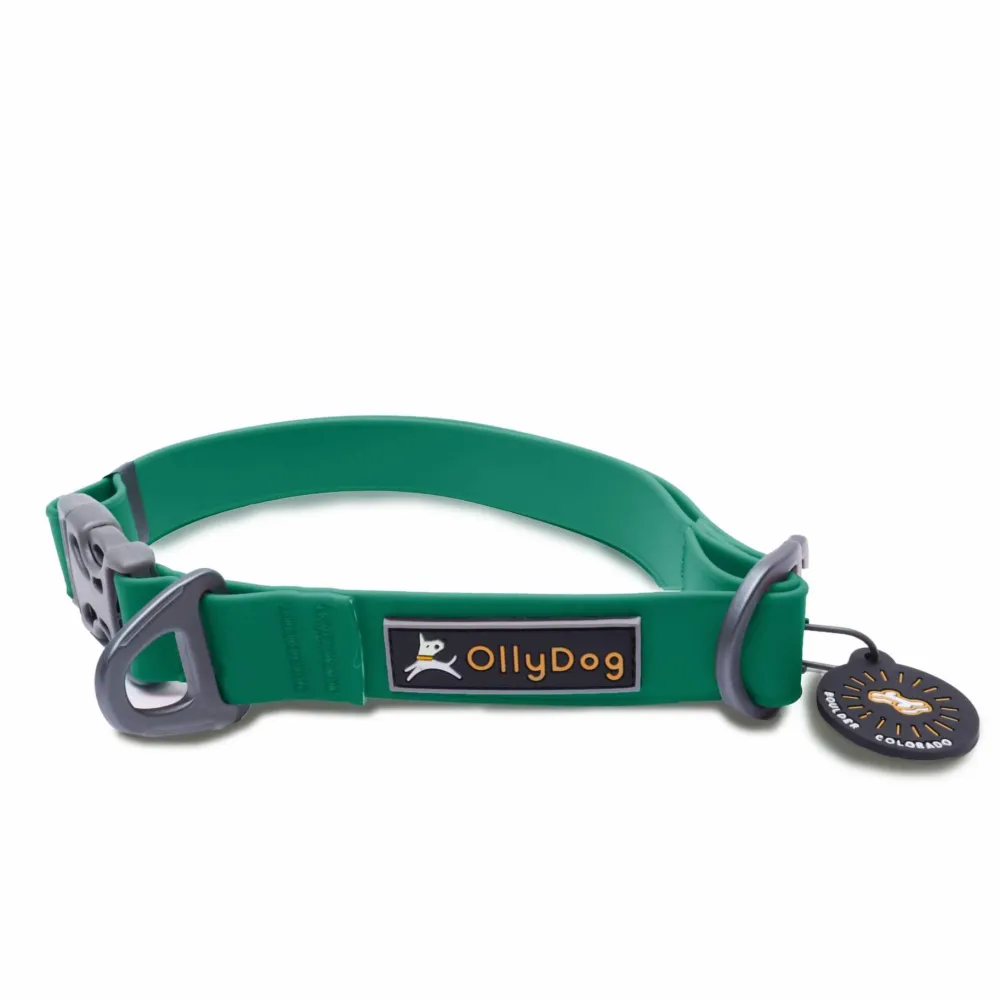 Clearance OllyDog Tilden Collar Teal