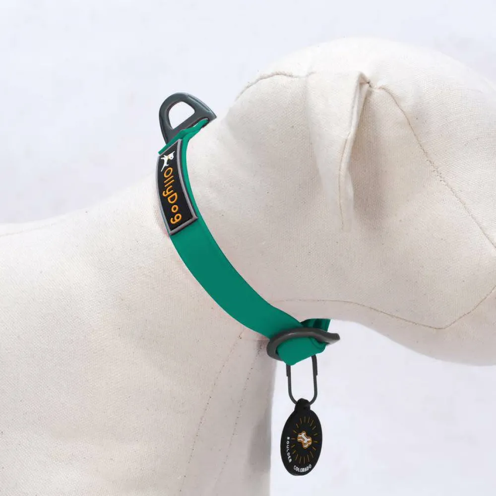 Clearance OllyDog Tilden Collar Teal