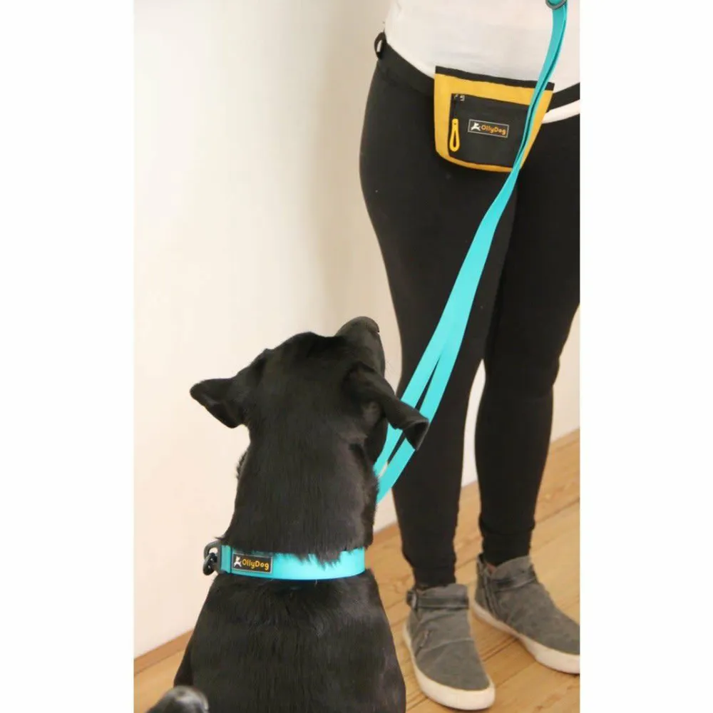 Clearance OllyDog Tilden Collar Teal