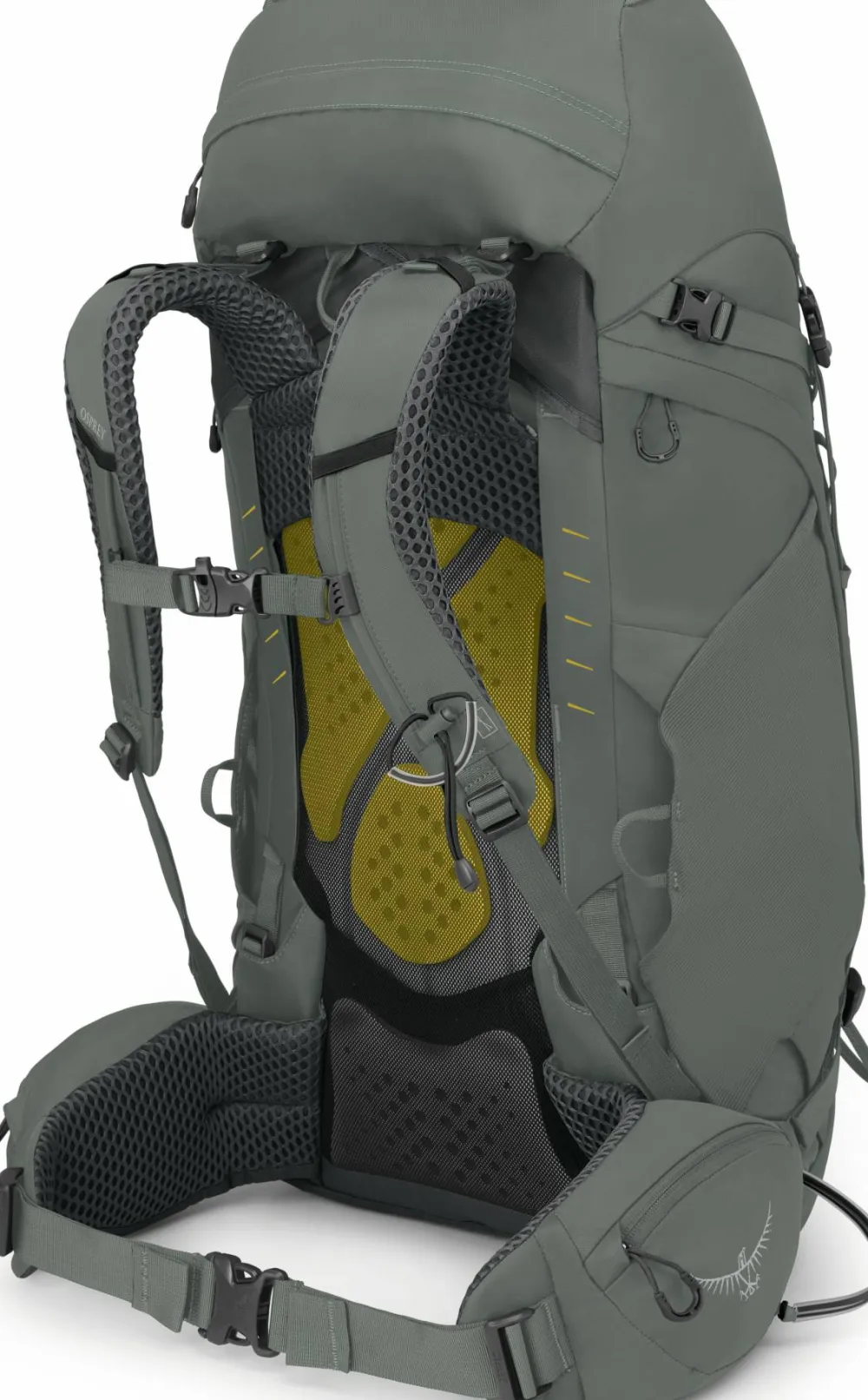 Online Osprey Women's Kyte 48 Rocky Brook Green
