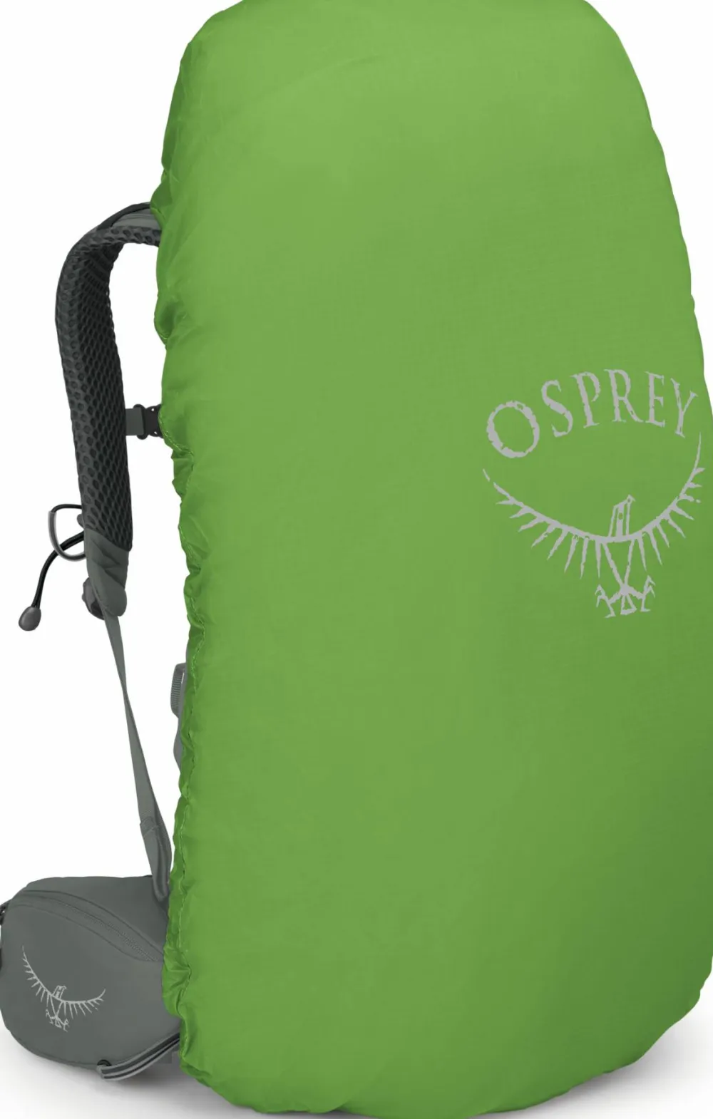 Online Osprey Women's Kyte 48 Rocky Brook Green