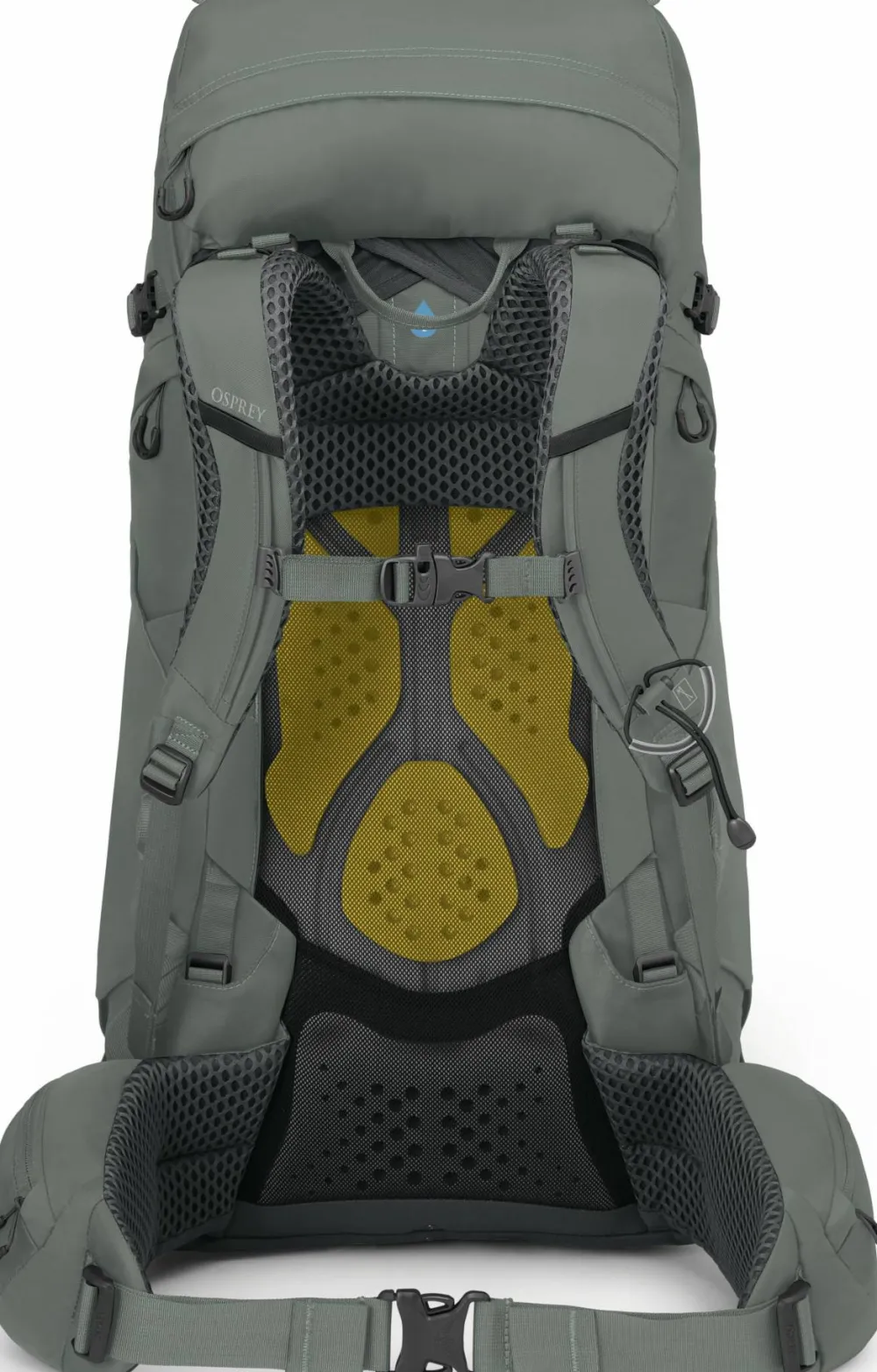 Online Osprey Women's Kyte 48 Rocky Brook Green