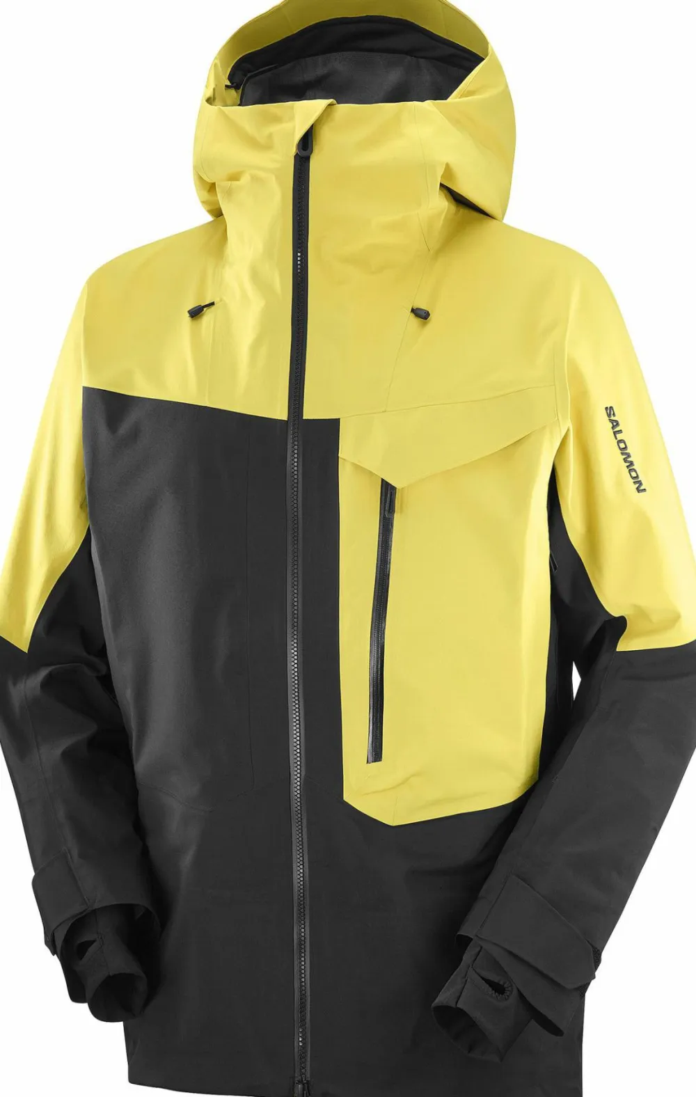 Best Salomon Men's Moon Patrol GORE-TEX Evo Jacket Cress Green / Deep Black