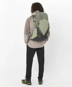 Hot Salomon Men's Outerpath Pro 2,5 L Etherea/Iron